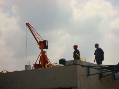 MINI GRUA 300 KG