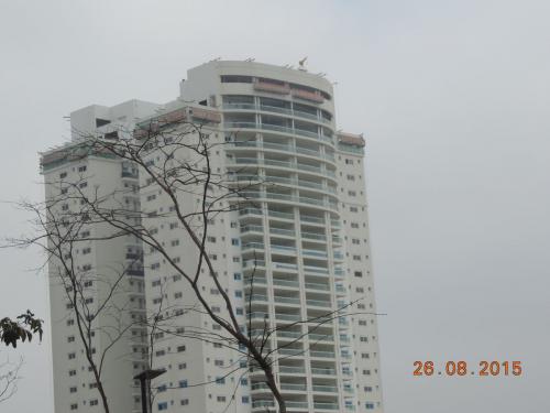 TECNISA PERDIZES